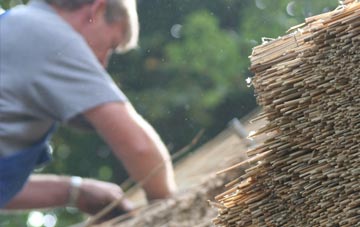 professional Blaina thatchers