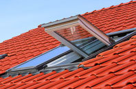 Blaina roof window